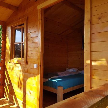 Retezat Retreat - Wood Cabin Clopotiva Exterior foto