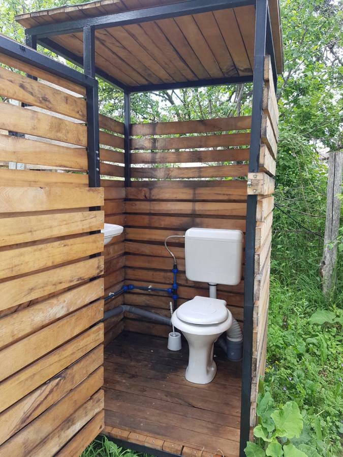Retezat Retreat - Wood Cabin Clopotiva Exterior foto