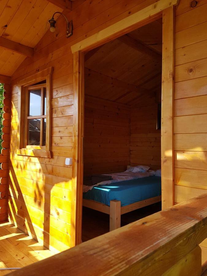 Retezat Retreat - Wood Cabin Clopotiva Exterior foto